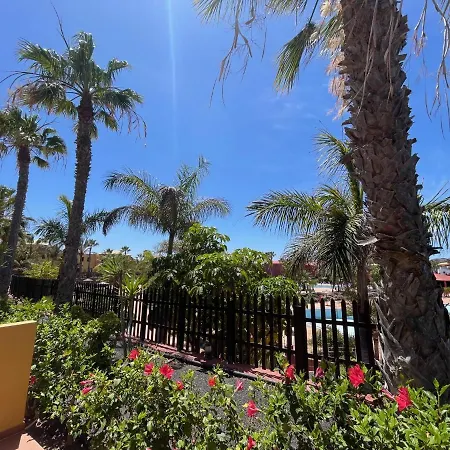 Tropical Garden Retreat: Private Terrace & Pool Oasis * Corralejo