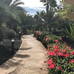 My Pretty - Lovely And Spacious Surrounded By Tropical Gardens - Private Covered And Uncovered Terrace - Pool - Parking - Free Fibre Optic Internet Daire *