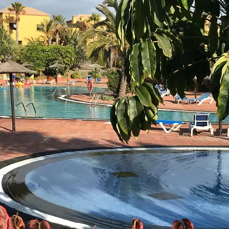 Appartement My Pretty - Lovely And Spacious Surrounded By Tropical Gardens - Private Covered And Uncovered Terrace - Pool - Parking - Free Fibre Optic Internet *