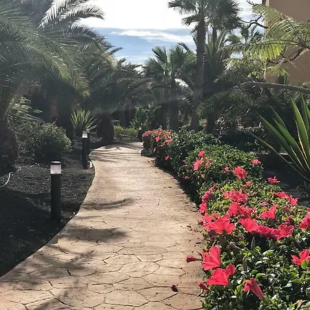 My Pretty - Lovely And Spacious Surrounded By Tropical Gardens - Private Covered And Uncovered Terrace - Pool - Parking - Free Fibre Optic Internet Apartmán *