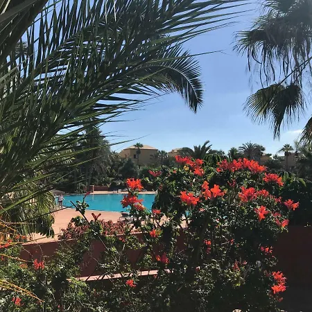דירה My Pretty - Lovely And Spacious Surrounded By Tropical Gardens - Private Covered And Uncovered Terrace - Pool - Parking - Free Fibre Optic Internet