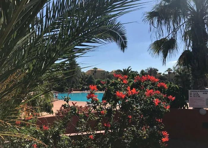 דירה My Pretty - Lovely And Spacious Surrounded By Tropical Gardens - Private Covered And Uncovered Terrace - Pool - Parking - Free Fibre Optic Internet